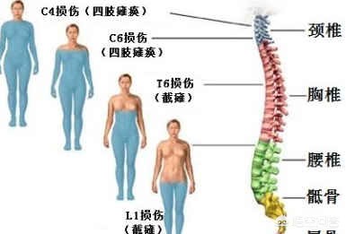 2025 年最值得关注的 10 大科技突破，你了解几个？