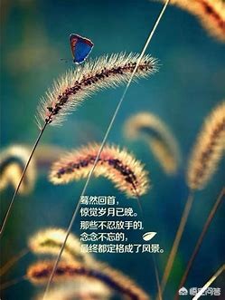 心理健康问题日益突出，如何重视与治疗？