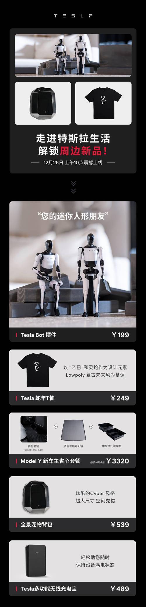 揭秘：特斯拉的下一个 “秘密武器” 是什么？