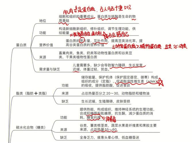 学前教育资源短缺问题如何解决？