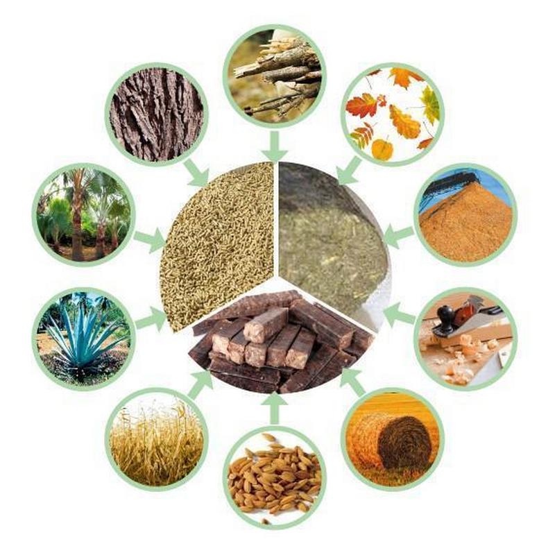 生物质能在能源领域的应用前景广阔